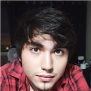 Se busca profesor de dibujo online